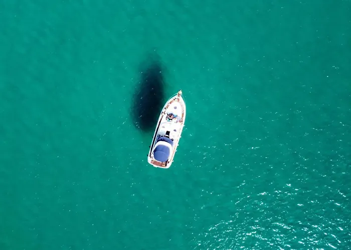 ヴィラ Ambra Costa Caddu